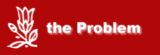 the Problem